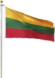 Bild von Fahnenmast 9,00 m mit Flagge 90 cm × 150 cm Litauen