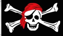 Bild von Fahne Piratenflagge 150 cm x 250 cm Schädel mit Kopftuch