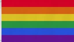 Bild von Regenbogen Flagge Fahne 90x150cm 150x250cm 300x500cm