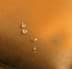 Bild von Wasserdichte Palettenkissenbezüge 2-teilig „Marsala“ Orange