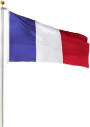 Bild von Fahnenmast 8,00 m mit Flagge 90 cm × 150 cm Frankreich