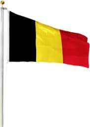 Bild von Fahnenmast 6,50 m mit Flagge 90 cm × 150 cm Belgien